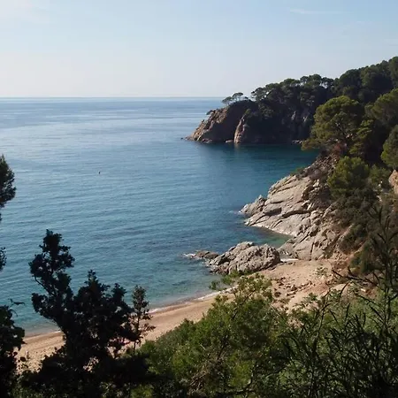 Holiday home Kerstin Bruns-casa El Suizo Tossa de Mar